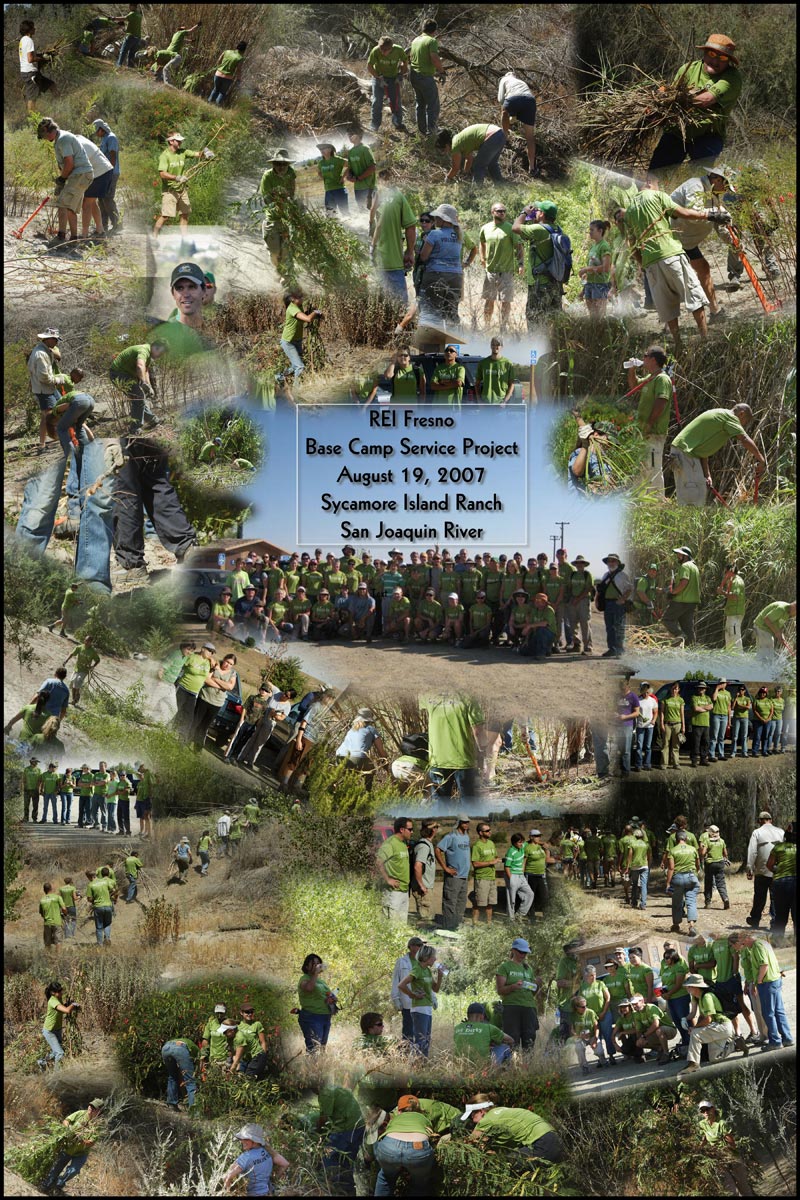 Volunteer Collage
